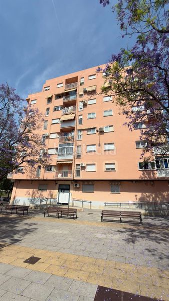 Foto e432c4b5-16a3-4c97-88cd-09cec7579ee1. Pis a Doctor Palos - Alto Palancia Sagunt