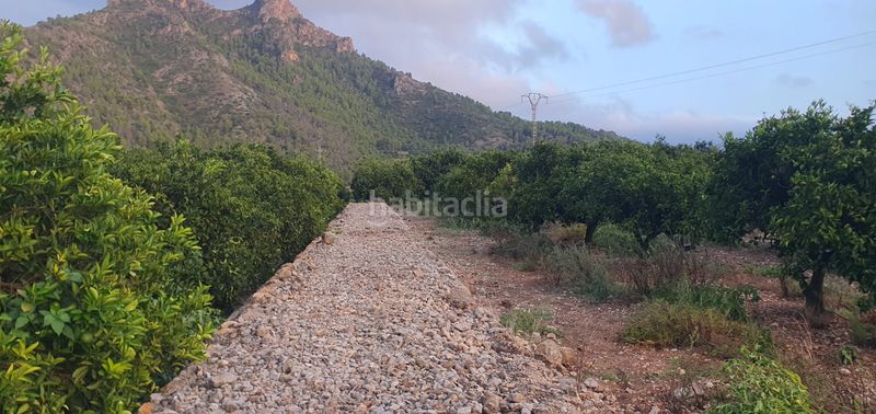 Foto a2674809-6685-49a2-aa07-a6edb5df1b3c. Finca rústica a Urbanizaciones Gandia
