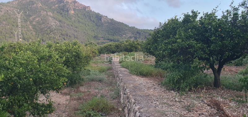 Foto f8f1f85c-2fe7-4752-8fe8-f96dbfc8e6ad. Finca rústica a Urbanizaciones Gandia