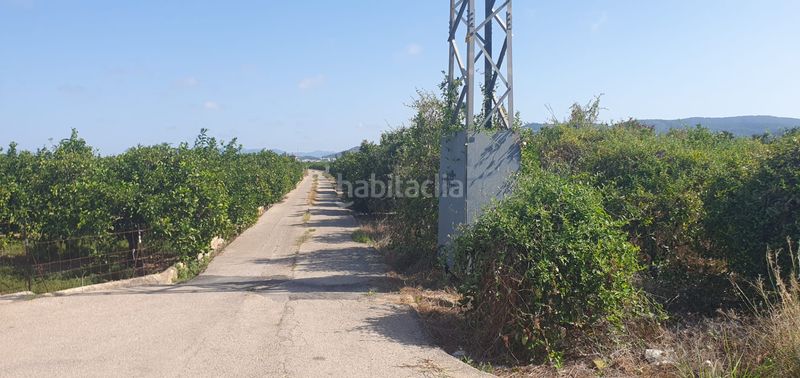 Foto f8f046df-c2df-4a38-97d2-9e8edb43e959. Finca rústica a Bellreguard