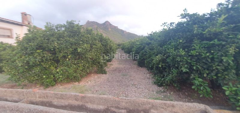 Foto 036afd92-a343-4b84-90ef-754696a0b1e5. Finca rústica a Urbanizaciones Gandia