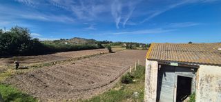 Bauernhof in Avenida dosel acces e 8. Terreno y caseta rustica en playa de cullera