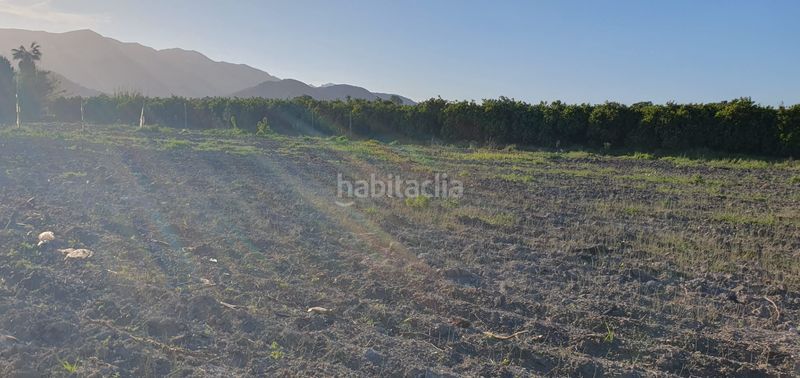 Foto 7dd54388-661a-46e4-8913-9ee4c0cd8356. Masia a Tavernes de la Valldigna