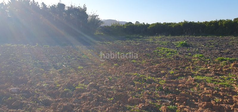 Foto c75ebac0-fe74-4397-9f24-c5fa0edf785c. Masia a Tavernes de la Valldigna