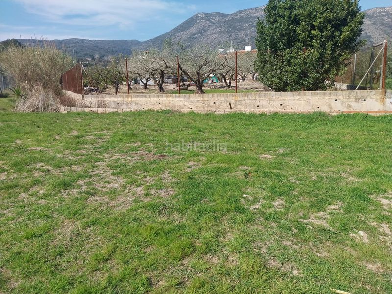Foto b9b48011-6c54-45ea-a9c5-7e55b0879826. Finca rústica terreno rustico plano en Barx