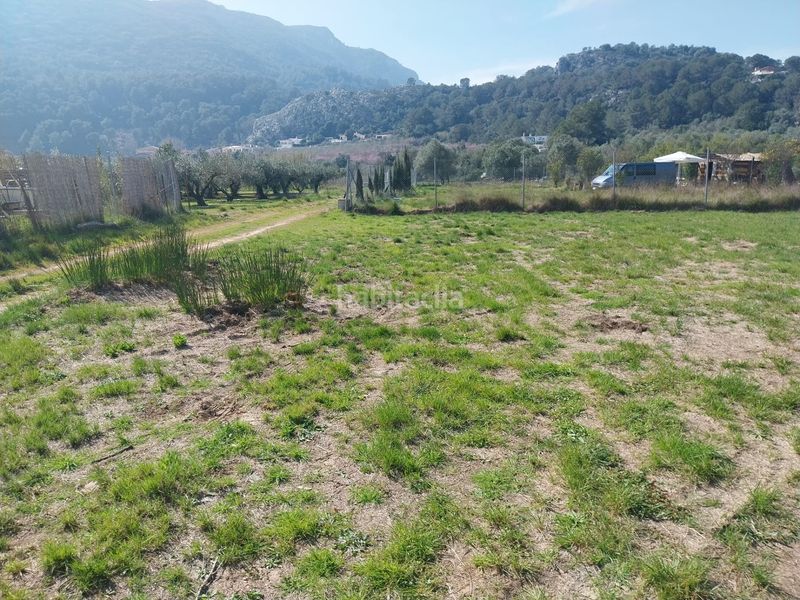 Foto e44d700a-e9f8-465d-8c9b-c334a26655a8. Finca rústica terreno rustico plano en Barx
