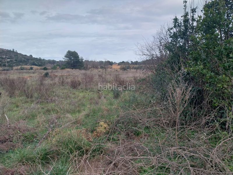 Foto ba338efc-a1cc-4a8a-86f9-ad20818705c8. Finca rústica terreno rustico en Barx