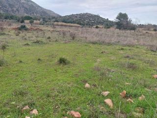 Landgut  Partida la falaguera. Terreno rustico en barx