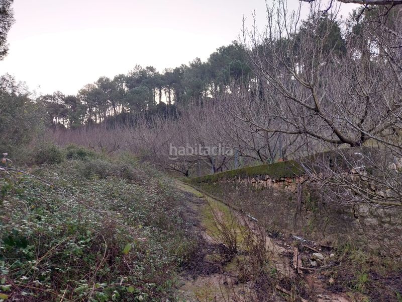 Foto 47a2abbb-07dd-4d4d-805b-03afbe5c3ab6. Finca rústica a Barx