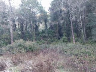 Landgut  Plaça poligono 2. Terreno en pozo adria barx