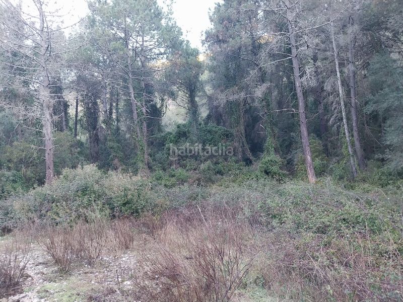 Foto 68656bb3-fcde-4792-9945-0a1030694261. Finca rústica a Barx