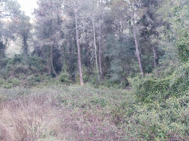 Foto 95de6b76-a1d2-402b-a1e4-6917b0d50703. Finca rústica a Barx
