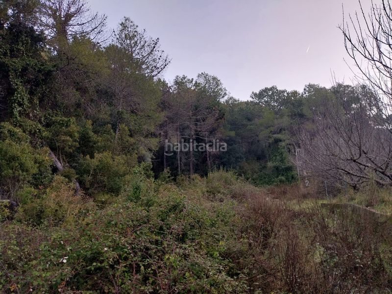 Foto baefbc8a-a141-4953-a22a-a58eb33ebf3a. Finca rústica a Barx