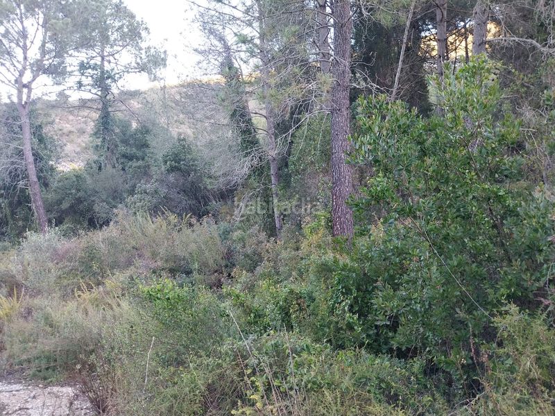 Foto d93f1beb-1aaa-4a83-98e5-67229a6ecede. Finca rústica a Barx
