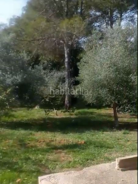 Foto 52087b5f-63a0-4dd9-9ba4-f203ae1d38d7. Masia a Simat de la Valldigna