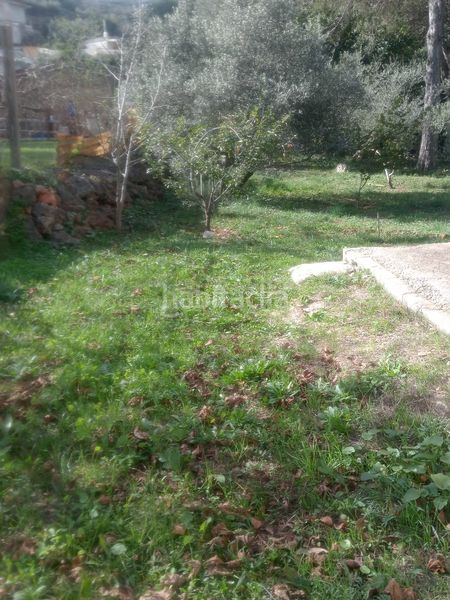 Foto 5838ce46-ca54-4ad7-88bd-438e22971aaf. Masia a Simat de la Valldigna