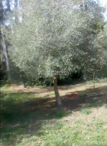 Foto e67ac8eb-f8f1-4f2c-9c21-fc0910d7ecc4. Masia a Simat de la Valldigna