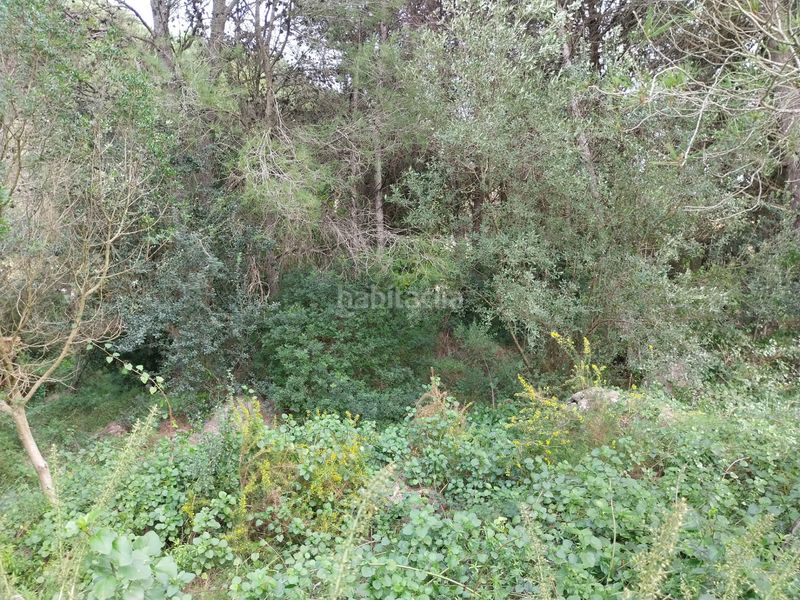 Foto 6c973745-e4fd-41e3-a73d-fb71c06f39cc. Terreny residencial a Barx