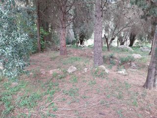 Wohngrundstück  Avinguda portitxolet. Terreno urbano en barx