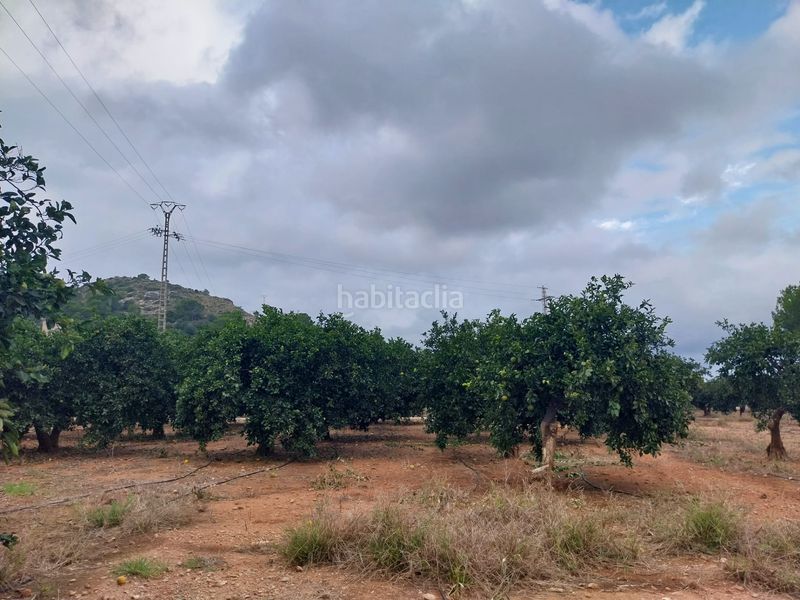 Foto c14cbfe8-9ff9-496d-aa68-9da4601ec293. Finca rústica a Tavernes de la Valldigna