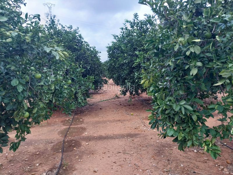 Foto e9454bf4-ae02-4cdf-85cb-845d76defb98. Finca rústica a Tavernes de la Valldigna