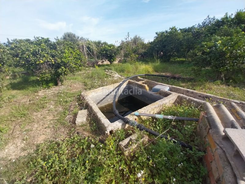 Foto 6d52a37b-adb1-44c6-aa05-c4b4eeee8d5a. Finca rústica a Urbanizaciones Gandia