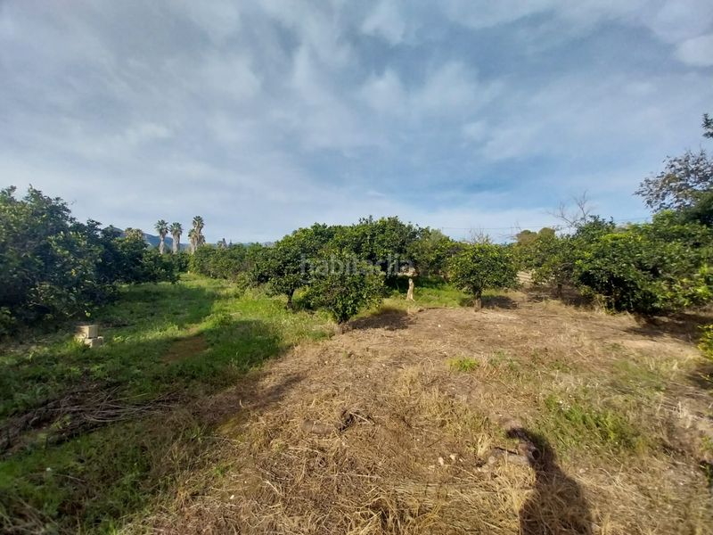 Foto b3d568d8-da41-40bf-b768-085141e81b58. Finca rústica a Urbanizaciones Gandia