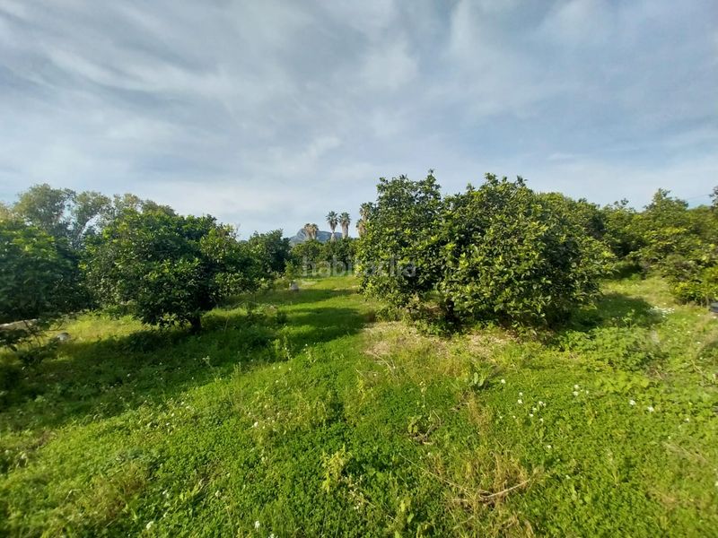 Foto f51d62f8-a1df-4f32-a3f7-c6bd09ddee36. Finca rústica a Urbanizaciones Gandia