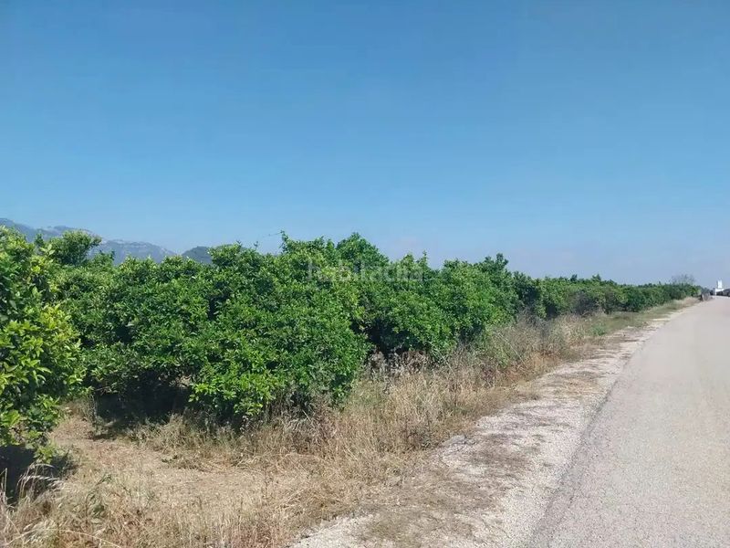 Foto 03d2c47e-ef7e-4318-a22b-cb323b76577d. Finca rústica a Tavernes de la Valldigna