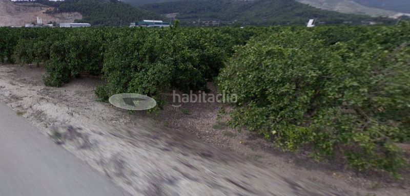Foto 0e2de8d5-545d-405e-8dba-63dbef5eedf0. Finca rústica a Tavernes de la Valldigna