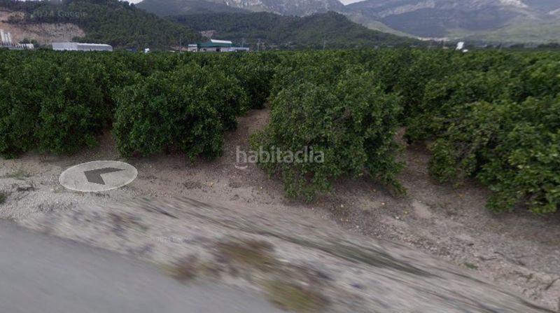 Foto 107d1b7a-61a4-4226-b18e-b4b8943495c5. Finca rústica a Tavernes de la Valldigna