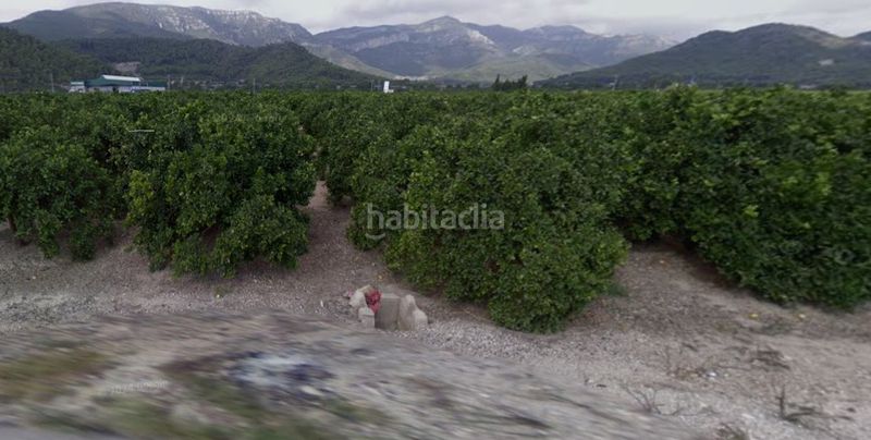Foto 3c24f8f0-e162-412b-a1f8-05c47fcb5271. Finca rústica a Tavernes de la Valldigna