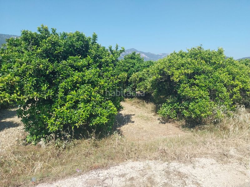 Foto b097407f-2fbf-4160-ae0d-f0cab1c47138. Finca rústica a Tavernes de la Valldigna