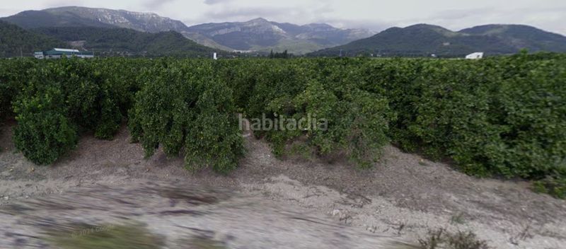 Foto b8af6c13-7598-4290-87ee-655af22ede1f. Finca rústica a Tavernes de la Valldigna