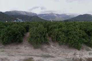 Finca rústica  N/a. Terreno agricola en tavernes de la valldigna