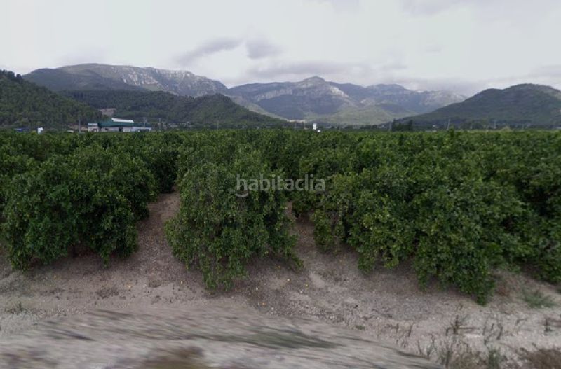 Foto c2aa942e-2b87-417d-adc8-4ff0c7defd56. Finca rústica a Tavernes de la Valldigna