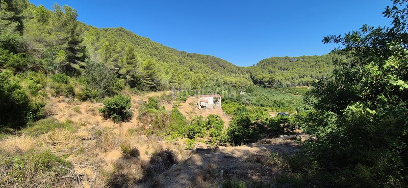 Foto 3ce410f8-33ca-4e3f-ba75-b49520882541. Masia amb xemeneia calefacció aparcament piscina a Favara