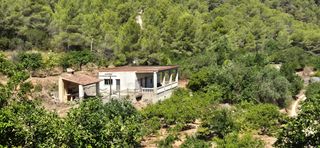 Casale  N/a. Casa rustica  con bosque y naranjas en favara