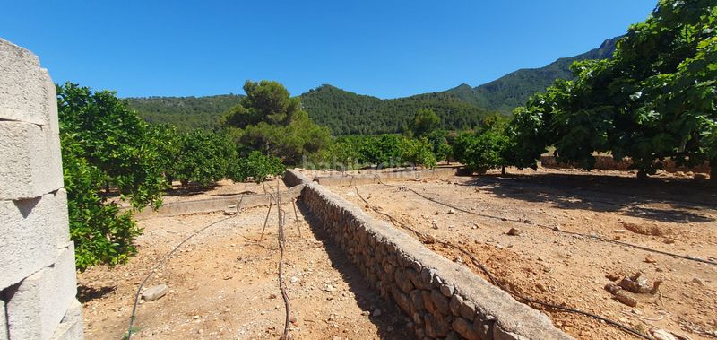 Foto 0f934b3b-c6db-4c22-9e5e-c2716029eb1f. Masia amb xemeneia calefacció aparcament piscina a Llaurí