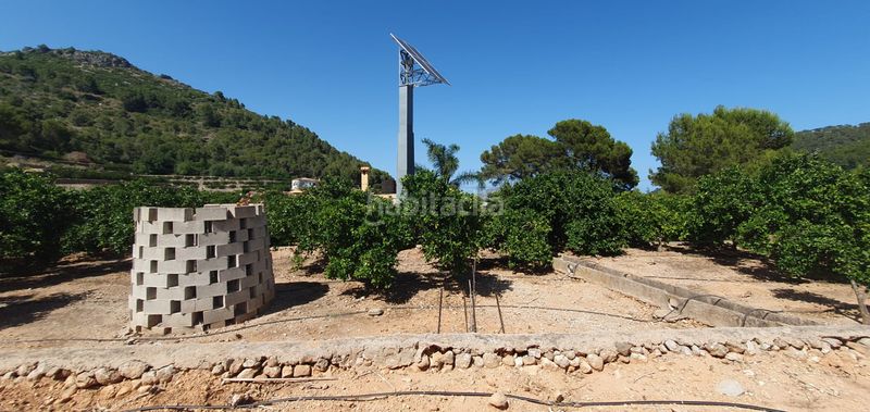 Foto a5e8599b-c92a-4985-831e-624a59bbc7db. Masia amb xemeneia calefacció aparcament piscina a Llaurí