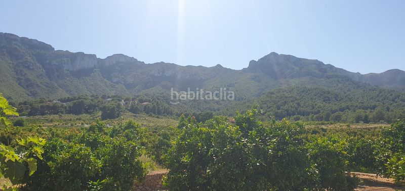 Foto d47813d2-ad14-4998-9969-1e78d7513288. Masia amb xemeneia calefacció aparcament piscina a Llaurí