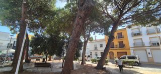Pis a Carrer Trevijano 47