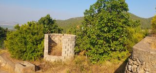 Finca rústica  Diseminado casa canet. Terreno con frutas tropicales en llauri