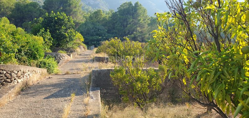 Foto 40a1e9a8-9297-45a3-aa87-88de0f434e8a. Finca rústica a Llaurí