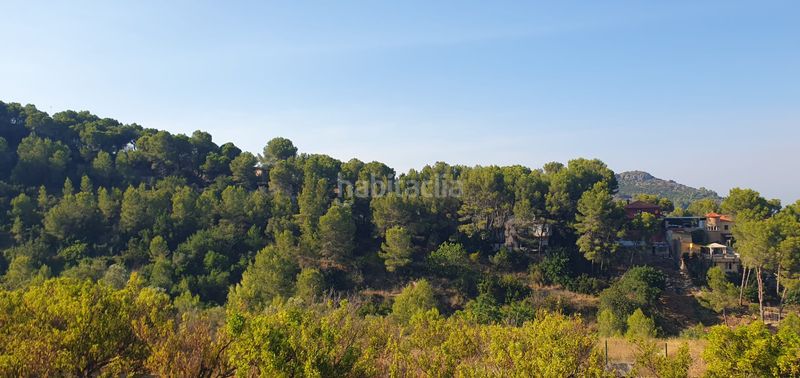 Foto a862396a-5ada-4948-87dd-7927a67503b4. Finca rústica a Llaurí