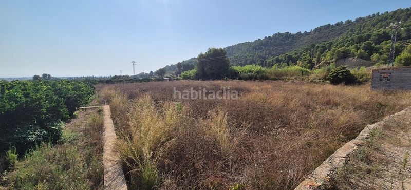 Foto 9a8c4432-1130-4322-a04b-f75f30ff09e1. Masia a n/a a Oliva pueblo Oliva