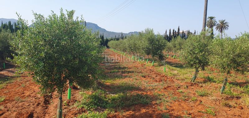 Foto 527575fa-ea1a-4c07-b5a5-acac819106a3. Masia a Corbera