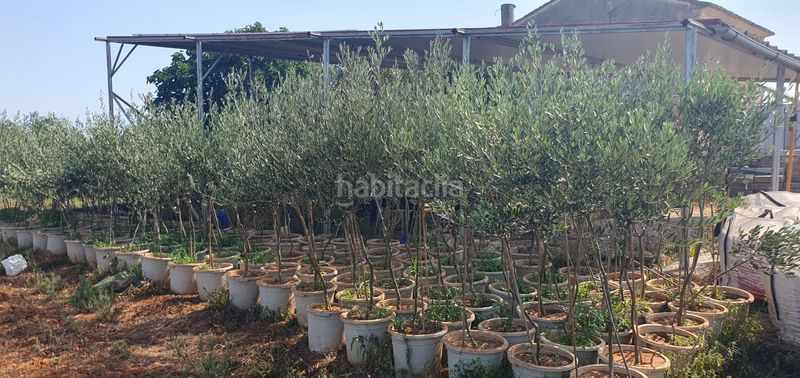 Foto ae305385-820e-4d43-bfeb-8a975ff4fb28. Masia a Corbera