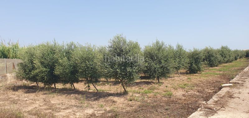 Foto 0008c80a-1cfc-4487-bfd5-0edd377f9747. Finca rústica a Llaurí