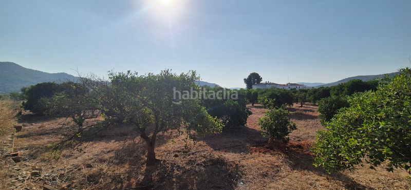 Foto 5fedeab4-2379-4c4d-a767-06867553a149. Finca rústica a partida el herm 2 a Alfauir
